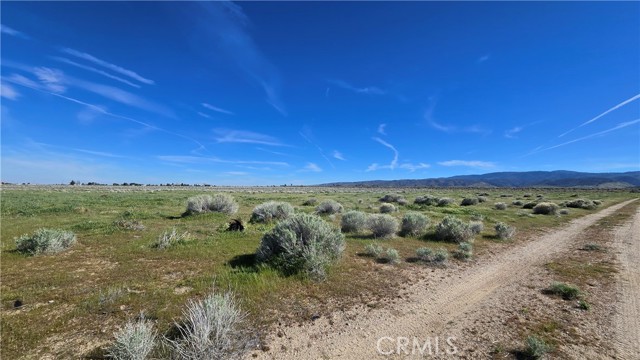 Detail Gallery Image 8 of 36 For 0 Vicinity Ave B12 & 265th St W, –,  CA 93536 - – Beds | – Baths