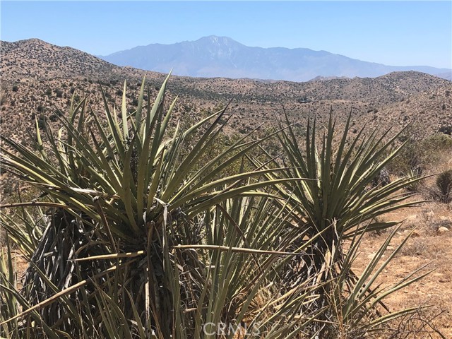 Image 3 of 10 For 54575 Navajo Trail