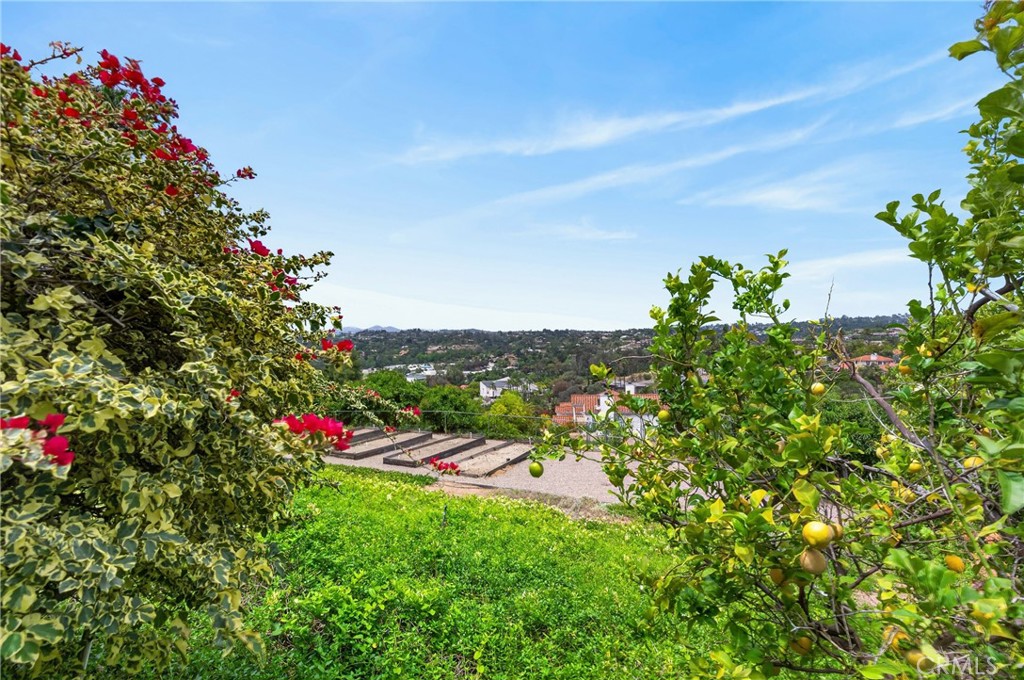 2466 Haas - photo 12