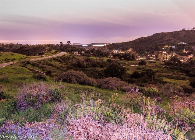 19041 Live Oak Canyon Road, Trabuco Canyon CA: https://media.crmls.org/medias/44c150f2-c1b9-490a-9de2-c069afd05d5a.jpg