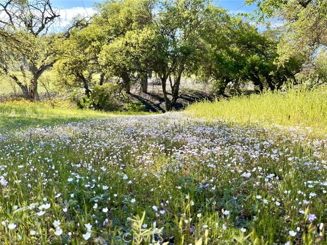 53600 Bradley Lockwood Road, Lockwood CA: https://media.crmls.org/medias/44c1cf2a-290e-425a-9e40-484a945e9032.jpg