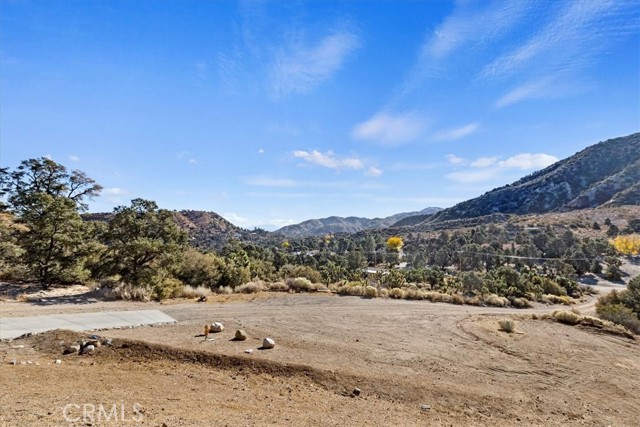 Detail Gallery Image 48 of 48 For 7800 Buena Vista Rd, Wrightwood,  CA 92397 - 5 Beds | 4/1 Baths