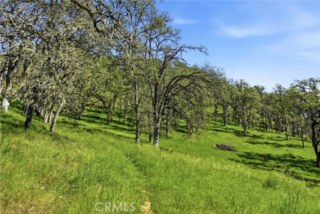 Detail Gallery Image 6 of 14 For 726 Park, Lakeport,  CA 95453 - – Beds | – Baths