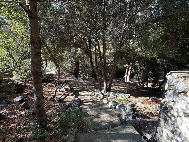 Detail Gallery Image 5 of 32 For 49 Ice House Canyon Rd, Mt Baldy,  CA 91759 - 1 Beds | 1 Baths