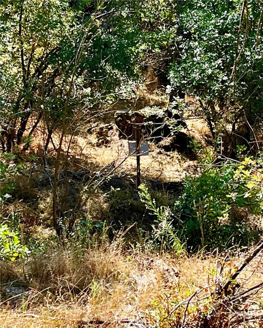 Past the creek is a property marker.