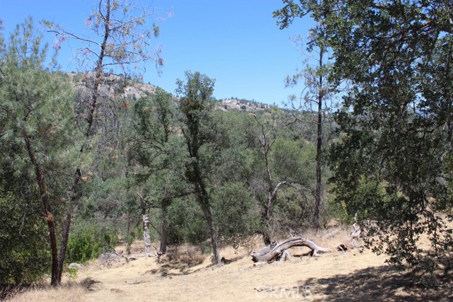 Lot 2152 Tioga Drive, Coarsegold, CA, 93614