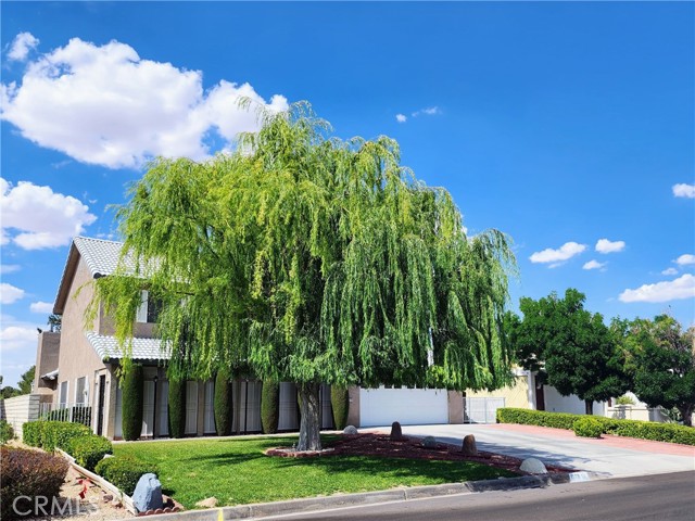 Detail Gallery Image 62 of 62 For 15178 Orchard Hill Ln, Helendale,  CA 92342 - 4 Beds | 3 Baths