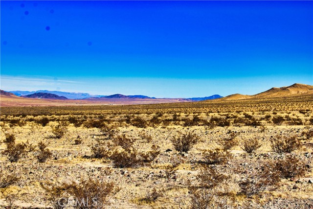 Detail Gallery Image 6 of 42 For 75777 Riverside Rd, Newberry Springs,  CA 92365 - – Beds | – Baths