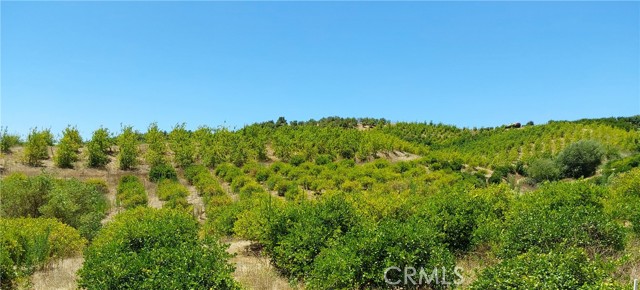 5 De Anza Road, Temecula CA: https://media.crmls.org/medias/44dfac79-3fd4-4ca6-8c62-c5f2c777fb68.jpg