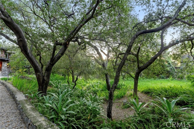 Detail Gallery Image 5 of 74 For 354 N Canon Ave, Sierra Madre,  CA 91024 - 4 Beds | 3/1 Baths