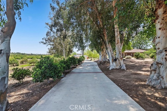 Detail Gallery Image 3 of 74 For 8180 Victoria Ave, Riverside,  CA 92504 - 4 Beds | 1/2 Baths