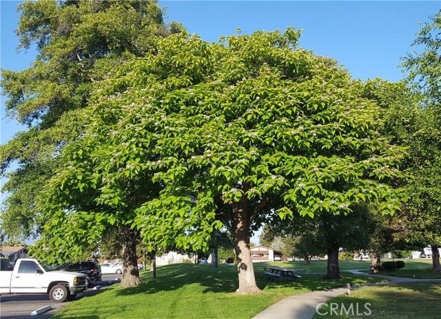 Detail Gallery Image 36 of 37 For 1300 W Menlo Ave #215,  Hemet,  CA 92543 - 2 Beds | 2 Baths