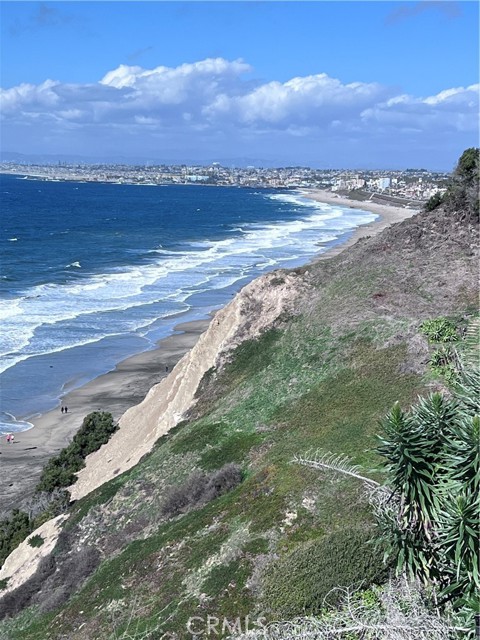 Bluff facing north