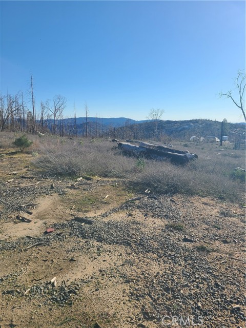 Detail Gallery Image 6 of 10 For 81 Green Cedar, Berry Creek,  CA 95916 - – Beds | – Baths