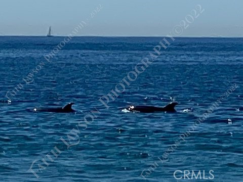 Detail Gallery Image 21 of 32 For 34134 Selva Road #248,  Dana Point,  CA 92629 - 3 Beds | 2 Baths