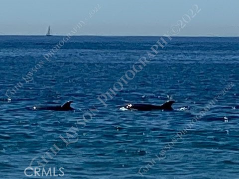 https://media.crmls.org/medias/45015b60-de46-4428-ba6b-7c731d5fc93b.jpg?preset=X-Large