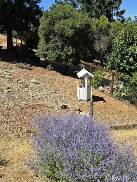 Detail Gallery Image 17 of 21 For 3620 Pine Terrace Dr, Kelseyville,  CA 95451 - 3 Beds | 2/1 Baths