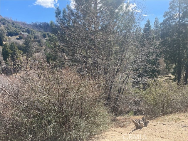 Detail Gallery Image 3 of 14 For 0 Pine Dr, Cedar Glen,  CA 92321 - – Beds | – Baths