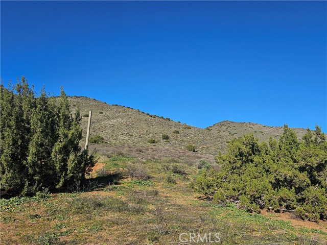 Detail Gallery Image 3 of 6 For 0 Escondido Canyon, Agua Dulce,  CA 91350 - – Beds | – Baths