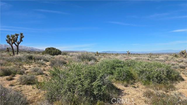 Detail Gallery Image 39 of 50 For 0 Fort Tejon Rd Vicinity 181st St E, Llano,  CA 93544 - – Beds | – Baths