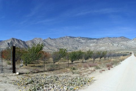 Detail Gallery Image 9 of 13 For 22836 Bailey Ave, Onyx,  CA 93255 - – Beds | – Baths