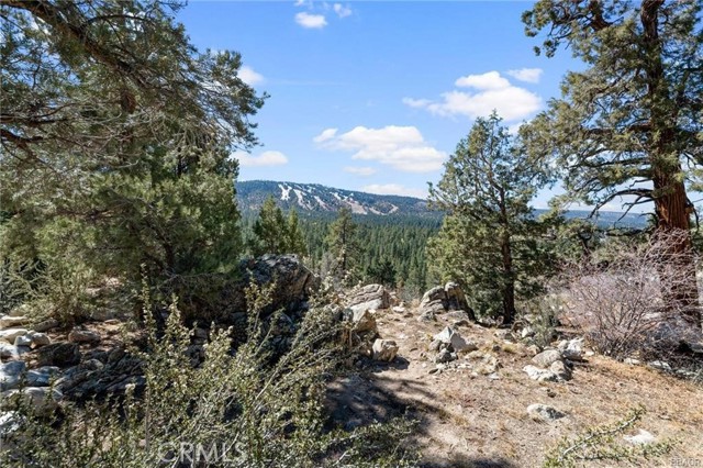 42565 Pegasus Way, Big Bear Lake, California 92315, ,Land,For Sale,42565 Pegasus Way,CREV24032569