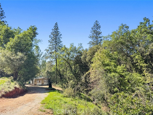 Detail Gallery Image 2 of 42 For 22666 Lower Quail Mine Rd, Sonora,  CA 95370 - 2 Beds | 1 Baths