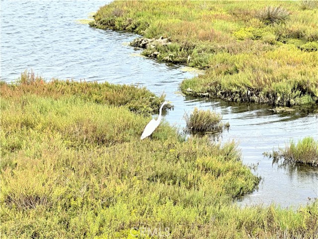 5032 Dorado Drive, Huntington Beach CA: https://media.crmls.org/medias/4547d06d-00d8-4c45-b044-1f5301a2a153.jpg