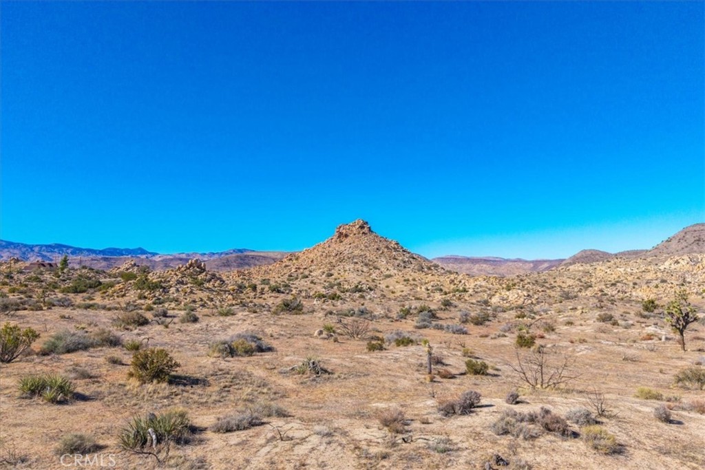 MLS #JT25250010 image #14