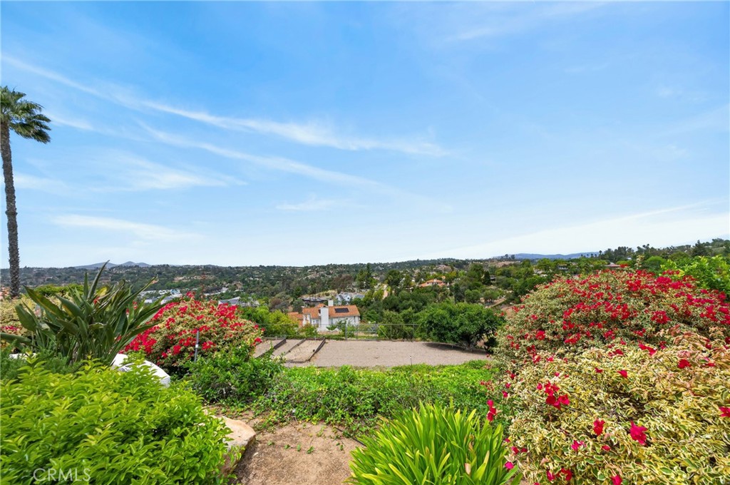 2466 Haas - photo 9