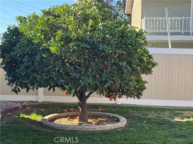 1740 OHIO Street, Redlands CA: https://media.crmls.org/medias/455289e3-7ee5-43a4-8553-88361e27dc31.jpg