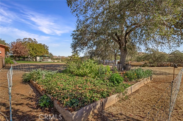 Detail Gallery Image 54 of 75 For 3811 Echo Mountain Dr, Butte Valley,  CA 95965 - 5 Beds | 4/2 Baths