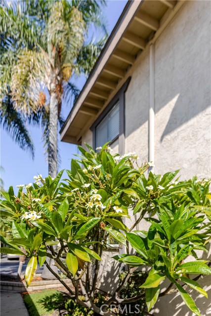 12835 10th Street, Chino CA: https://media.crmls.org/medias/455cc1fa-612a-45de-80ea-403c584e30a7.jpg