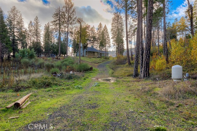 Detail Gallery Image 42 of 50 For 13159 Mullen, Oroville,  CA 95965 - 3 Beds | 2/1 Baths