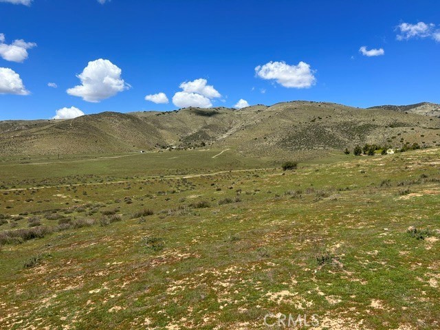 https://media.crmls.org/medias/455f36dd-4819-437d-8f6d-8ca3e5401893.jpg?preset=X-Large