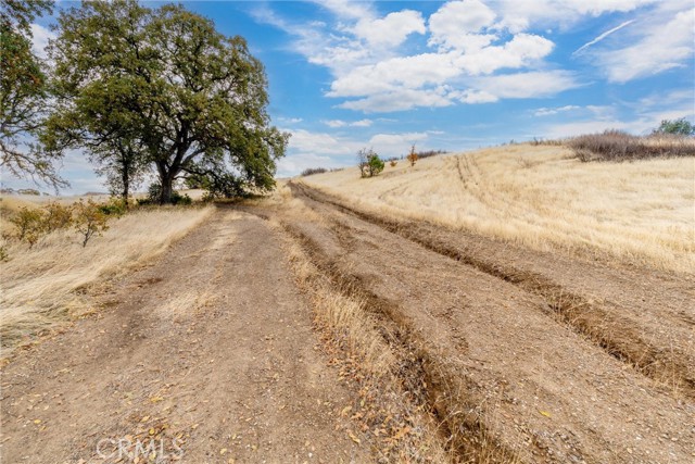 Detail Gallery Image 6 of 16 For 17315 Rancho Tehama Road, Corning,  CA 96021 - – Beds | – Baths