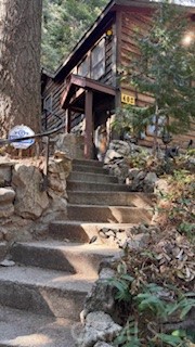 Detail Gallery Image 2 of 29 For 402 Burnt Mill Canyon Rd, Cedarpines Park,  CA 92322 - 2 Beds | 1/1 Baths