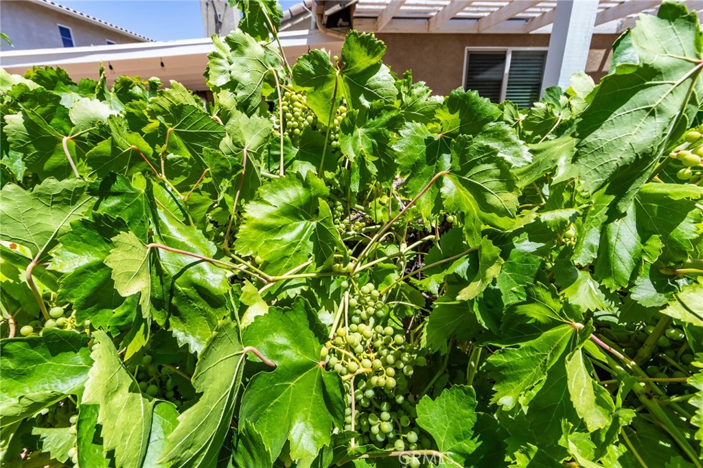 https://media.crmls.org/medias/45658b3d-3ba6-4ccd-89a1-7878b366d511.jpg?preset=X-Large
