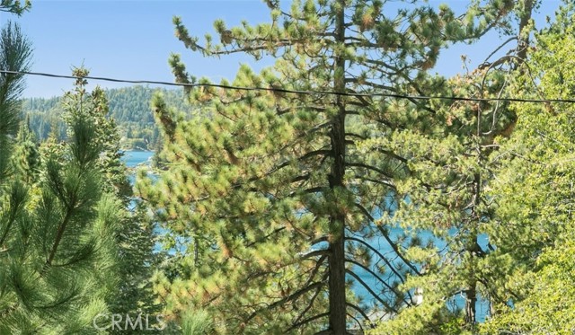 Detail Gallery Image 17 of 29 For 514 Emerald Drive, Lake Arrowhead,  CA 92352 - 3 Beds | 2 Baths