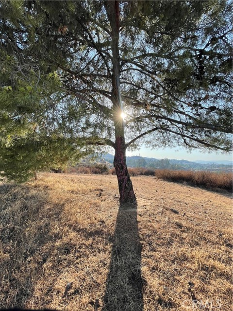 31355 Wild Lilac, Menifee CA: https://media.crmls.org/medias/4567118e-c7c7-4eee-9747-f35e4bc0cc4b.jpg
