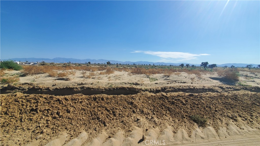 MLS #SR23171026 image #5