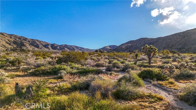 Detail Gallery Image 13 of 28 For 8901 Samel Rd, Morongo Valley,  CA 92256 - – Beds | – Baths