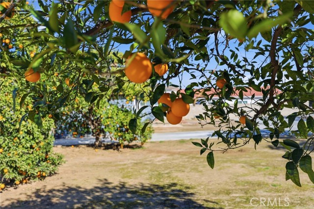 Detail Gallery Image 36 of 47 For 11135 Old Fashion, Riverside,  CA 92503 - 3 Beds | 2/1 Baths