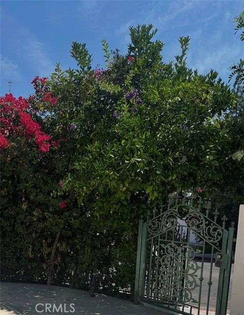 17041 Escalon Drive, Encino CA: https://media.crmls.org/medias/4572352e-dd29-41f9-af2d-234d344c1cf2.jpg