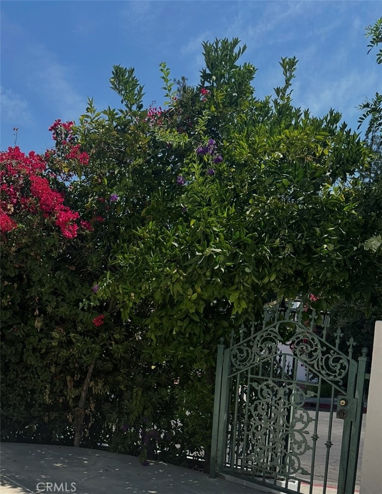 https://media.crmls.org/medias/4572352e-dd29-41f9-af2d-234d344c1cf2.jpg?preset=X-Large