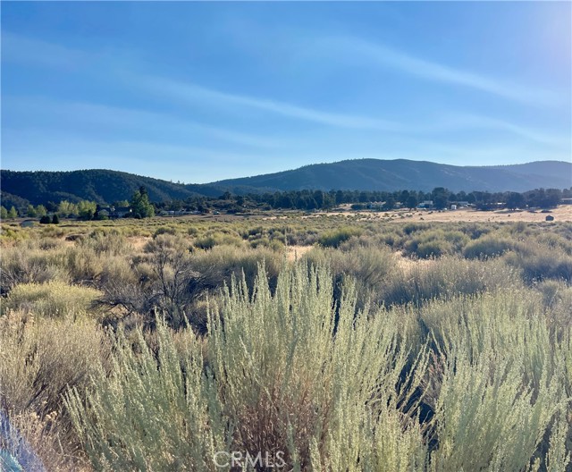 Detail Gallery Image 1 of 1 For 10500 Steinhoff Rd, Frazier Park,  CA 93225 - – Beds | – Baths