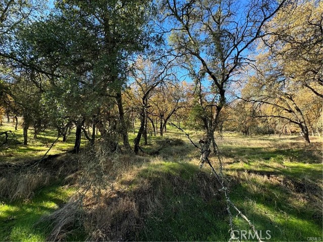 Detail Gallery Image 14 of 17 For 43 Alta Mira Ln, Oroville,  CA 95966 - – Beds | – Baths