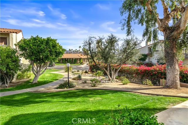 45436 Driftwood Drive, Palm Desert CA: https://media.crmls.org/medias/457a0e53-5ba5-4650-b3ce-91cb2ec15521.jpg