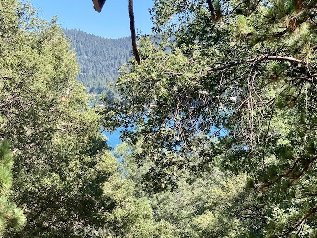 0 West Shore, Lake Arrowhead, CA, 92352 0 West Shore, Lake Arrowhead, CA, 92352