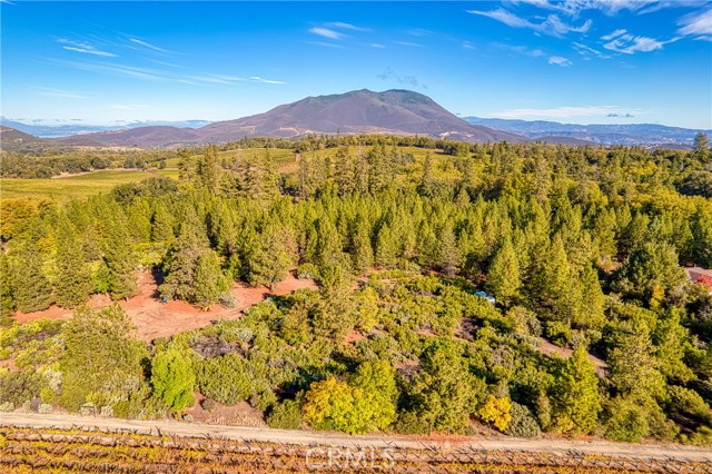 Detail Gallery Image 32 of 38 For 8946 Highway 175, Kelseyville,  CA 95451 - 2 Beds | 1 Baths